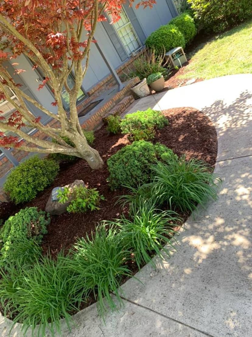 Expert Excavation Services's image