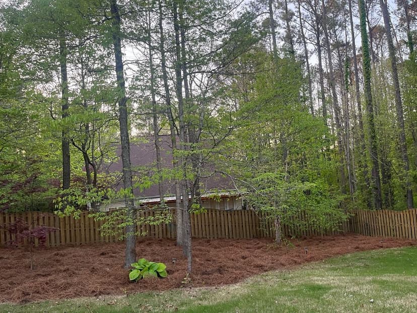 The Best in Clearing and Hauling's image